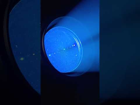 D'Addario NB1253 - Set Nickel Bronze Acoustic, Light, 12-53 по цене 1 670.00 ₽