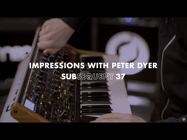 Moog Subsequent 37 по цене 273 900 ₽