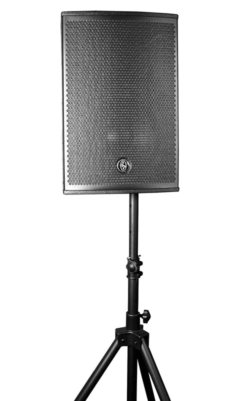 DAS Audio Road-12AR по цене 462 150 ₽