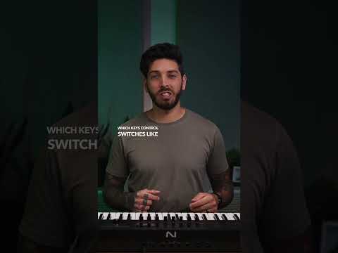 D'Addario NB1253 - Set Nickel Bronze Acoustic, Light, 12-53 по цене 1 670.00 ₽