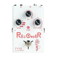 Flamma FV05 Recorder