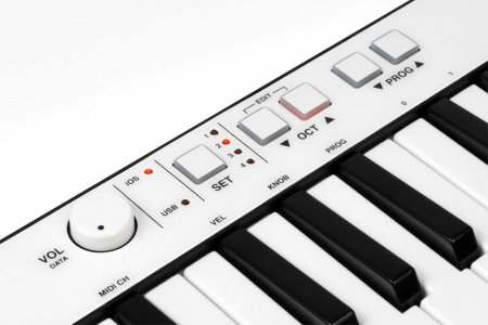 IK Multimedia iRig Keys по цене 15 500 ₽