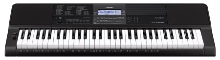 Casio CT-X800 по цене 33 100 ₽