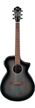 Ibanez AEWC11-TCB по цене 36 750 ₽