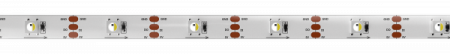 EntTec Pixel Strip 5V RGBW White PCB Pixel Tape - 30 Leds Per Metre - 5M Reel по цене 13 500 ₽