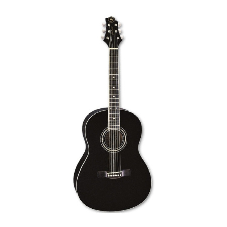 Greg Bennett ST9-1/BK по цене 14 900 ₽