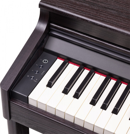 Roland RP701-DR по цене 174 250 ₽