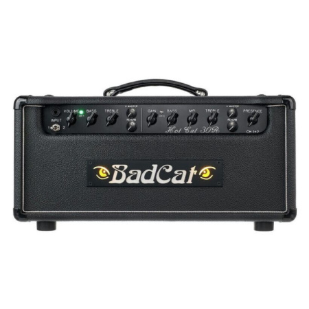 Bad Cat Hot Cat 30 Reverb Head по цене 378 150 ₽