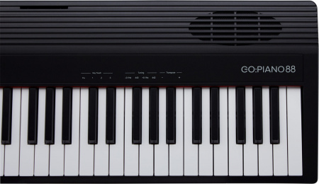 Roland GO-88P по цене 65 980 ₽