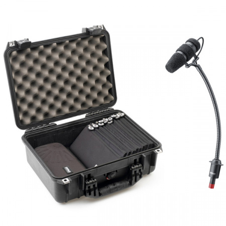 DPA Microphones KIT-4099-DC-10C по цене 841 700 ₽