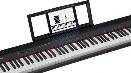 Roland GO-88P по цене 62 990 ₽