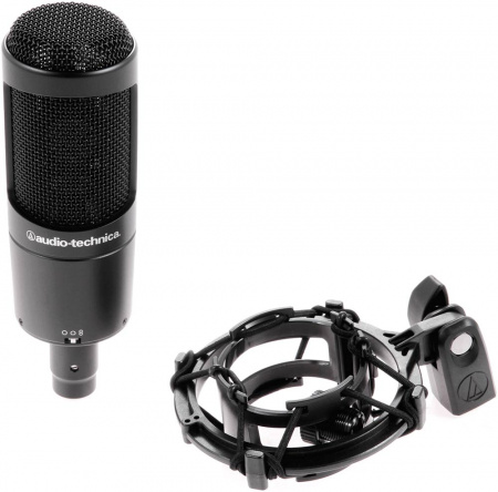 Audio-Technica AT2050 по цене 37 950 ₽