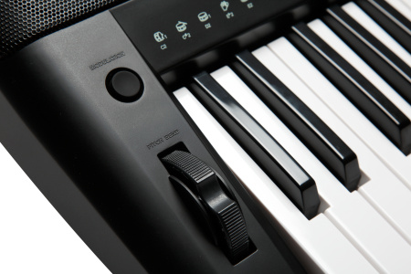Kurzweil KP150 LB по цене 42 850 ₽