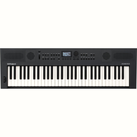 Roland Go:Keys 5 Graphite по цене 66 050 ₽