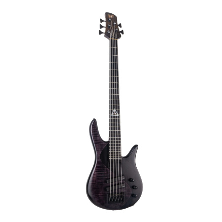 Spector Legend 5 Standard Black Stain по цене 74 860 ₽