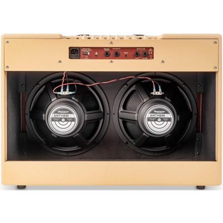 Blackstar Debut 100R 212 Cream по цене 47 990.00 ₽