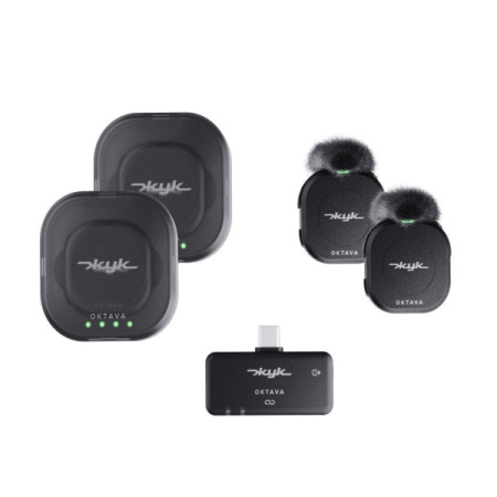 Октава Жук-2-Ч по цене 19&nbsp;260.00 ₽