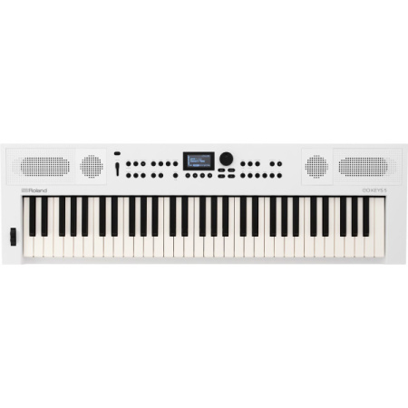 Roland Go:Keys 5 White по цене 63 900 ₽