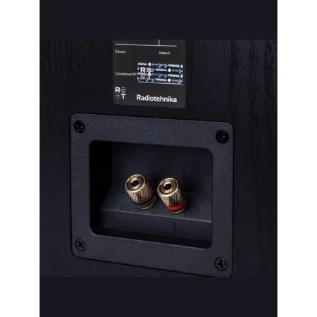 Radiotehnika S-10NA Black Ash по цене 29 990 ₽