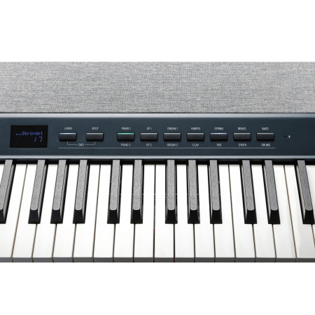 Kurzweil KA P1 LB по цене 86 600 ₽