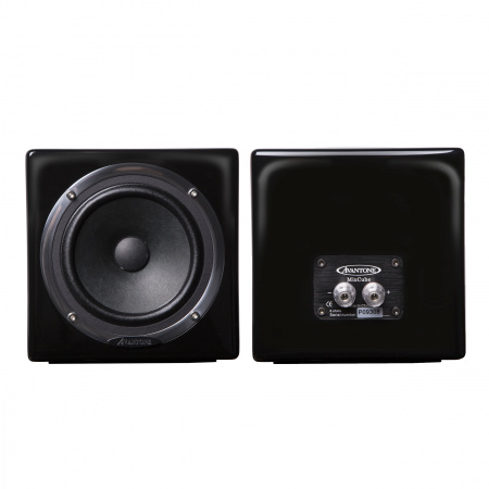 Avantone Pro MixCube Passive Monitor Pair Black по цене 28 290 ₽
