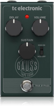 TC Electronic Gauss Tape Echo по цене 10 200 ₽