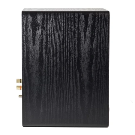 Radiotehnika S-20NA Black Ash по цене 40 000 ₽
