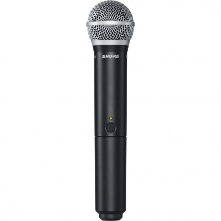 Shure BLX1288E/SM31 M17 по цене 87 050 ₽