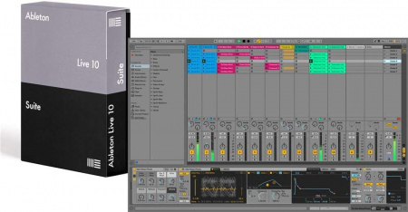 Ableton Live 10 Suite Edition UPG from Live Intro (лицензионный ключ) по цене 43 830 ₽