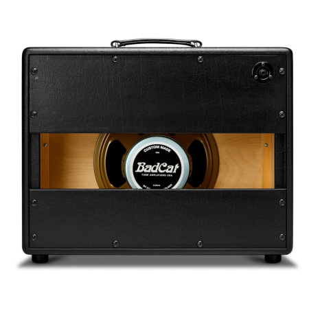 Bad Cat 1x12 Extension по цене 92 050 ₽