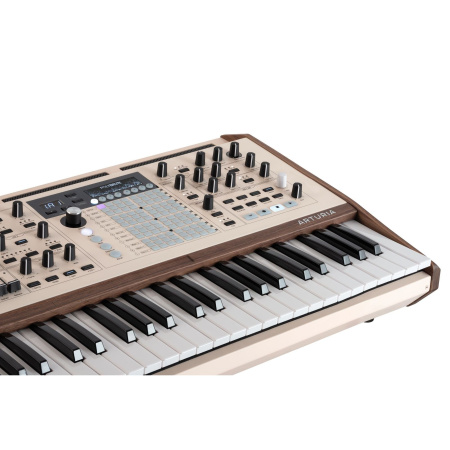 Arturia Polybrute 12 по цене 560 000 ₽