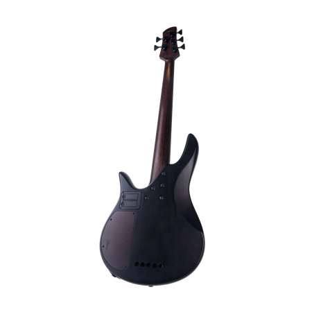 Spector Legend 5 Standard Black Stain по цене 74 900 ₽