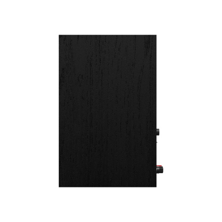 Klipsch R-50PM Black/GNM по цене 80 000 ₽