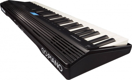 Roland GO-61P по цене 51 200 ₽