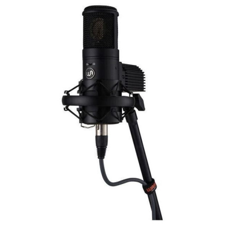 Warm Audio WA-8000 по цене 167 150 ₽