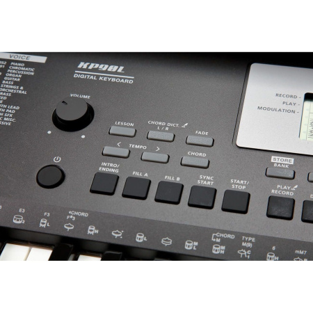 Kurzweil KP90L LB по цене 24 800 ₽