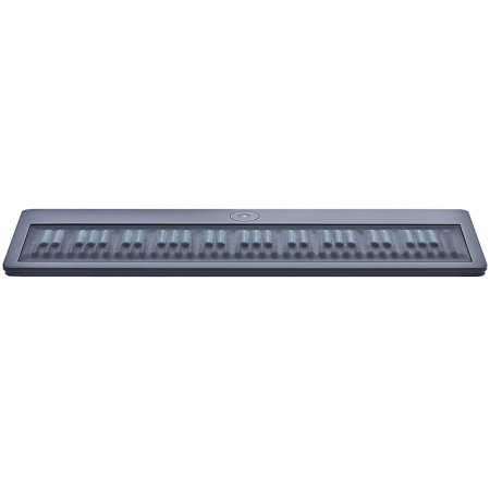 ROLI GRAND STAGE по цене 269 000 ₽
