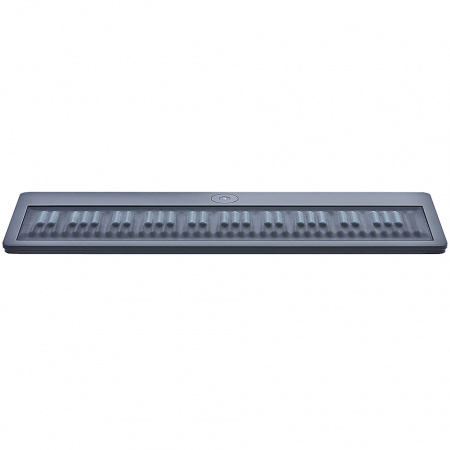 ROLI GRAND STAGE по цене 269 000 ₽