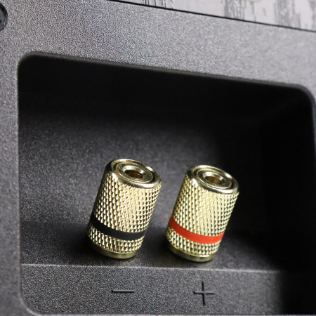 Radiotehnika Alfa 1.01 Black Ash по цене 19 000 ₽