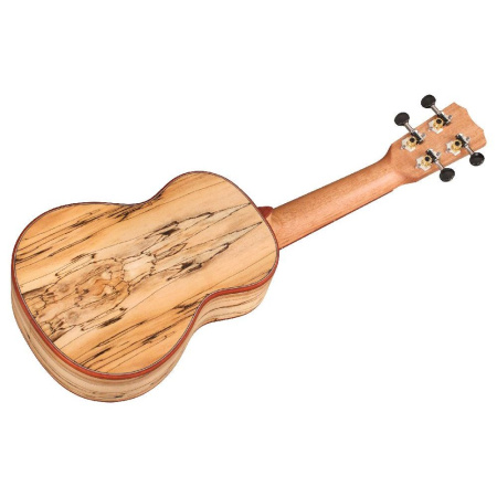 CORDOBA 24S Spruce по цене 23 150 ₽