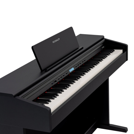 Rockdale Etude 256 BK по цене 59&nbsp;900.00 ₽