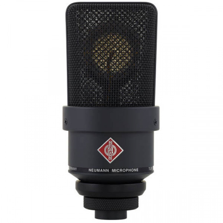 Neumann TLM 103 mt Mono Set по цене 252 980.00 ₽