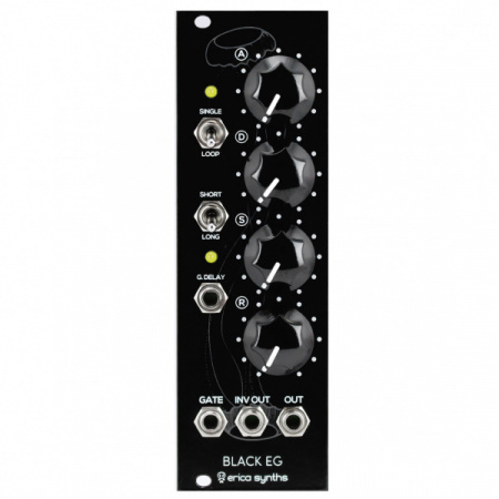 Erica Synths Black EG по цене 12 750 ₽