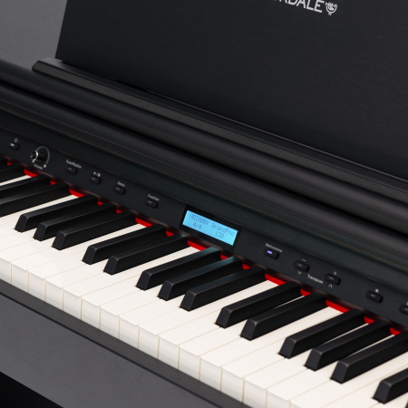 Rockdale Etude 256 BK по цене 59&nbsp;900.00 ₽