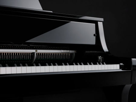 Kawai NOVUS NV-10 по цене 1 099 900 ₽