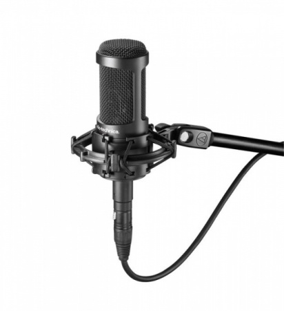 Audio-Technica AT2050 по цене 37 950 ₽