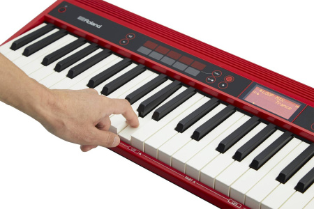 Roland GO-61K по цене 55 000 ₽