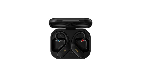 FIIO UTWS5 Black по цене 16 100 ₽
