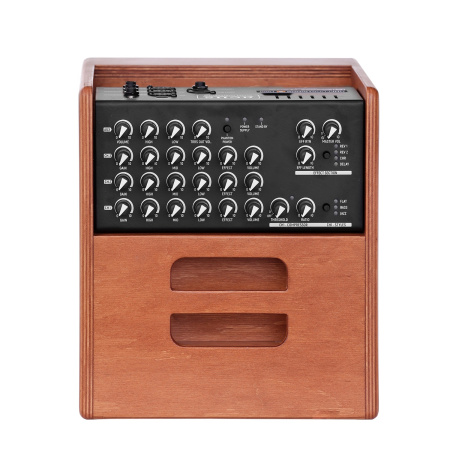 Acus One ForStrings 5 Ferdi Wood по цене 76 500 ₽