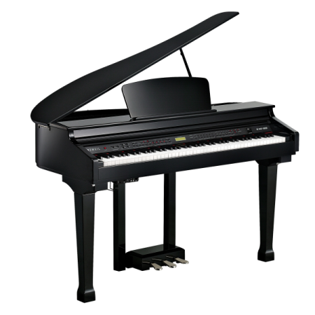 Kurzweil KAG100 EP по цене 251 450 ₽